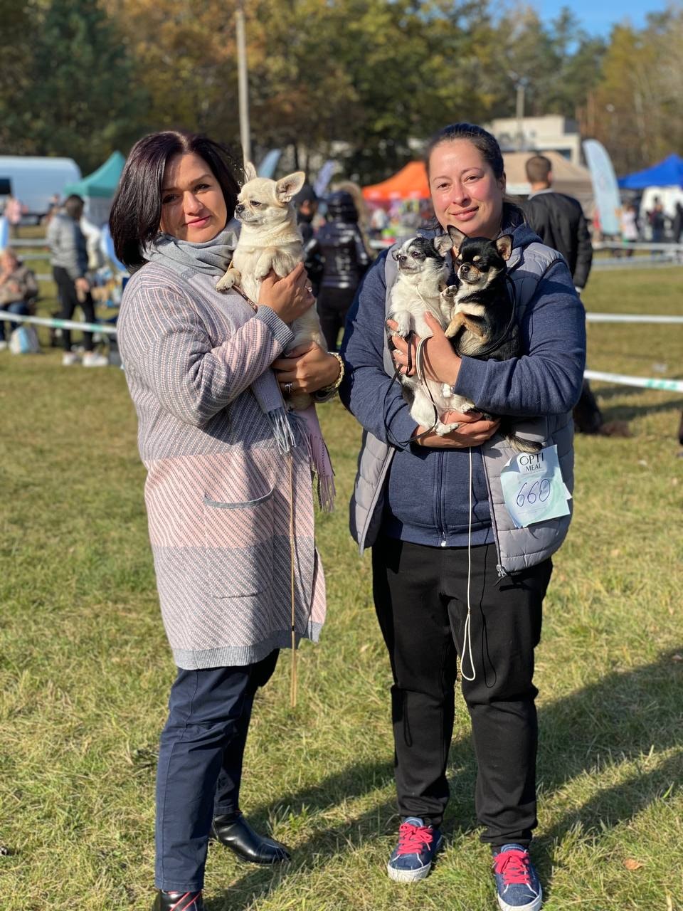 244966848 4683170538373201 8508863775411455548 n