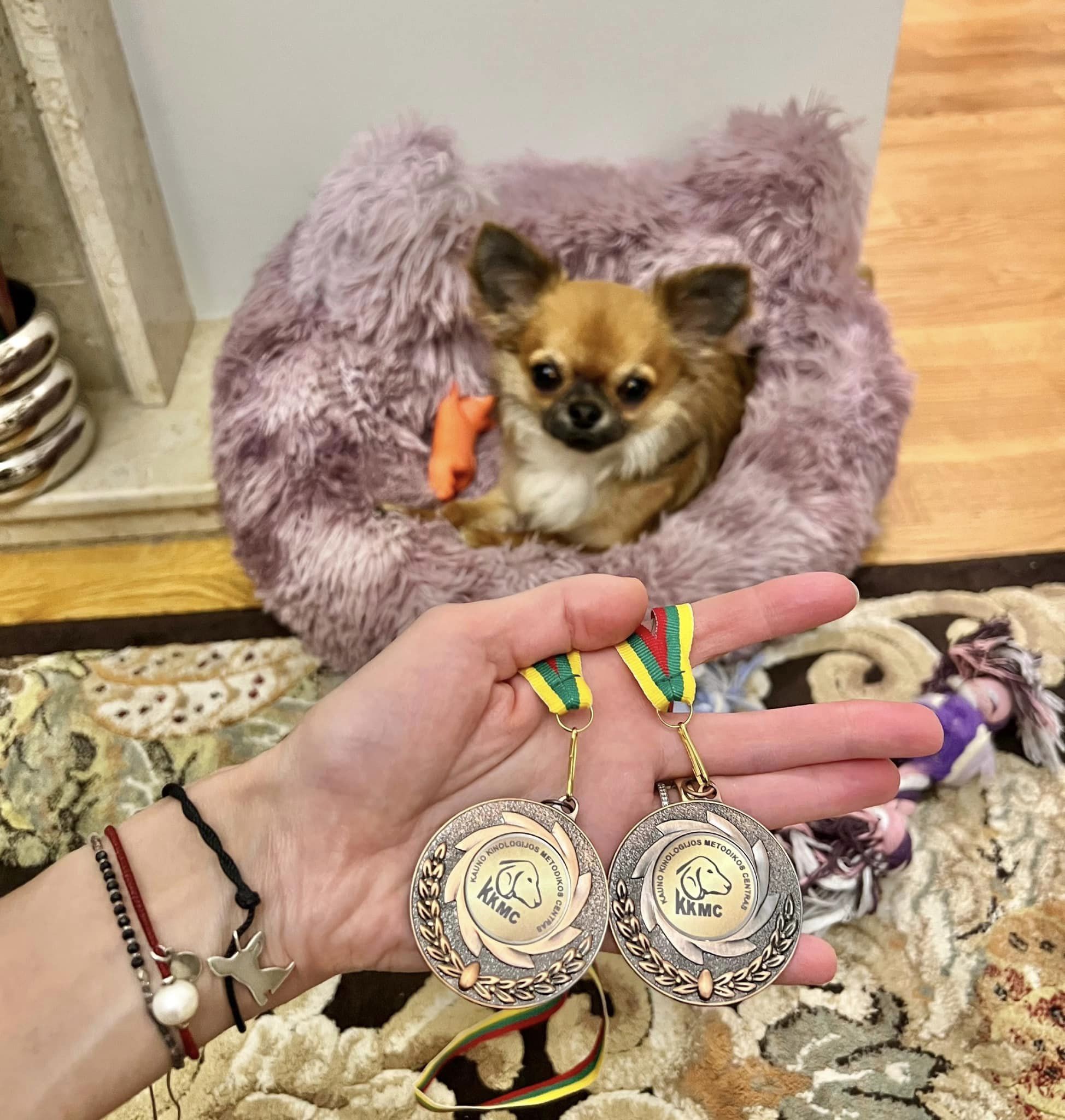 313295648 3351364308514991 7206992264087086406 n